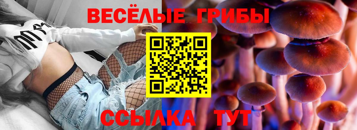 Галлюциногенные грибы ЛСД  Галлюциногенные грибы Cubensis  Великий Новгород  Вход с VPN 