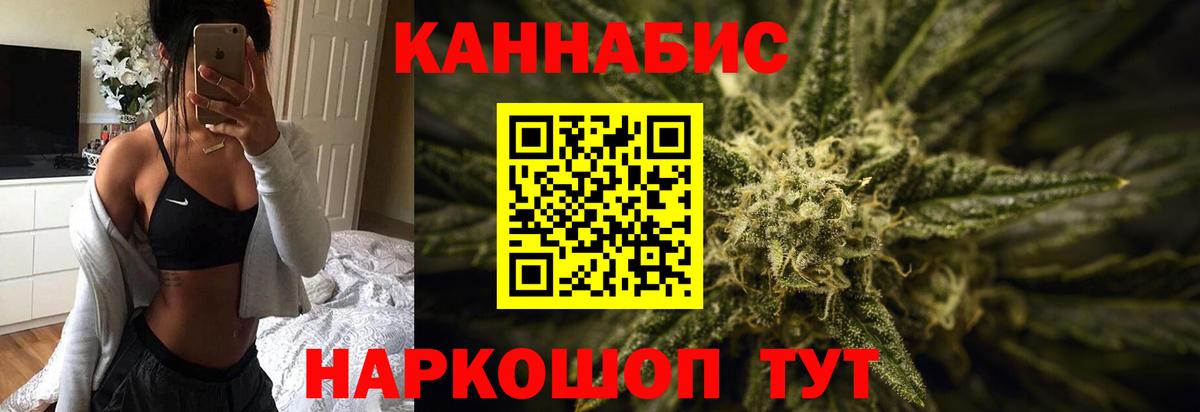 Бошки марихуана индика  Бошки марихуана план  Конопля ГИДРОПОН  Великий Новгород  Вход с VPN  Канабис SATIVA & INDICA 